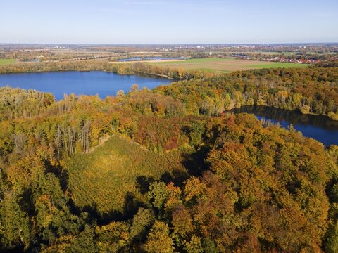 Drone shot, lakes in autumn forest, B&uuml;lten, Ilsede, Peine district, Lower Saxony, Germany