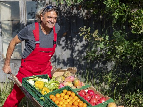 Man with red work trousers pushing wheelbarrow full of different fruits in front of old shed, healthy eating, Germany