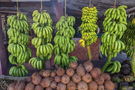 Fresh fruits in the Oasis of Salalah, Oman