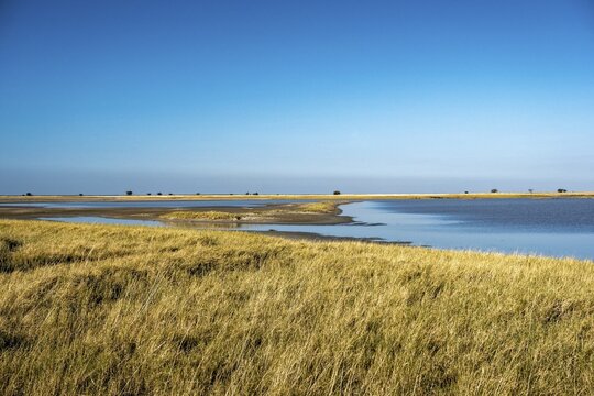 Grassland and shallow lake in Nata Bird Sanctuary, Botswana