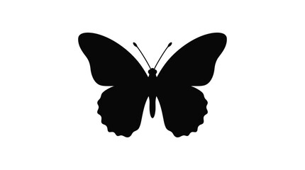 Black Butterfly Silhouette On White Background Minimalist Insect Shape © EY