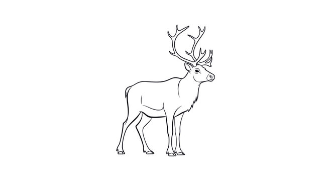Elegant Reindeer Standing Proudly with Majestic Antlers.