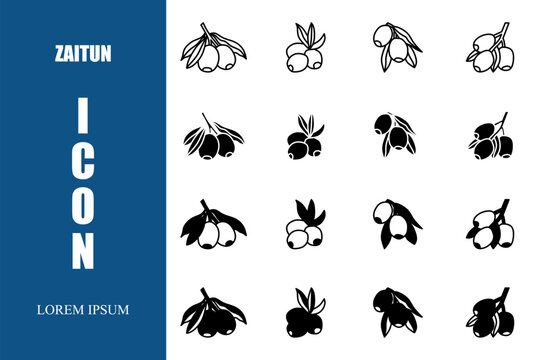 Vector icon. Collection of black zaitun Icons set on white background vector illustration. Vector stock.