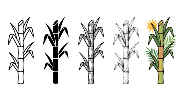Five different stylized sugarcane plants illustrations collection showcasing various artistic styles from outline to colorful cartoon designs.