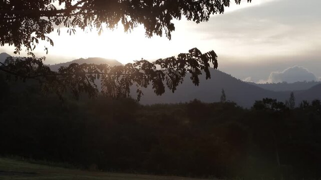 Beautiful cinematic sunset or sunrise over a mountain range, with dark tree branches in silhouette foreground. Warm and atmospheric nature view.