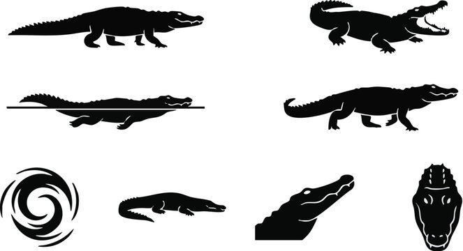 Various black vector crocodile illustrations in different poses and shapes