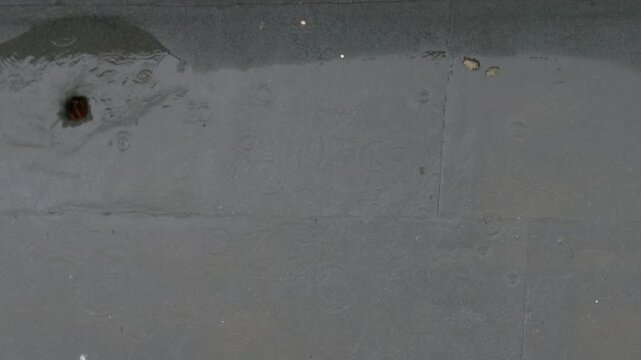 Wet asphalt surface during rainfall in close up view, urban texture and rainy weather background.