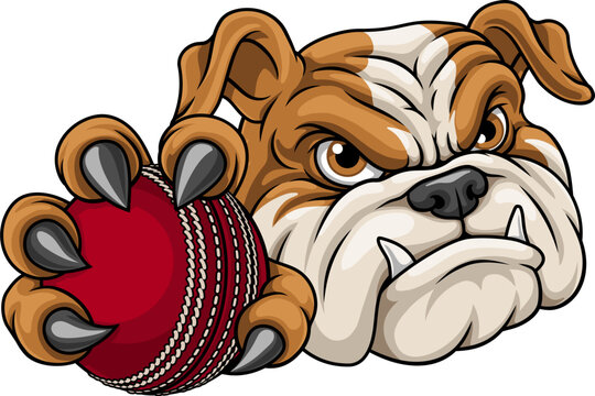 Bulldog Dog Cricket Ball Cartoon Sport Team Mascot