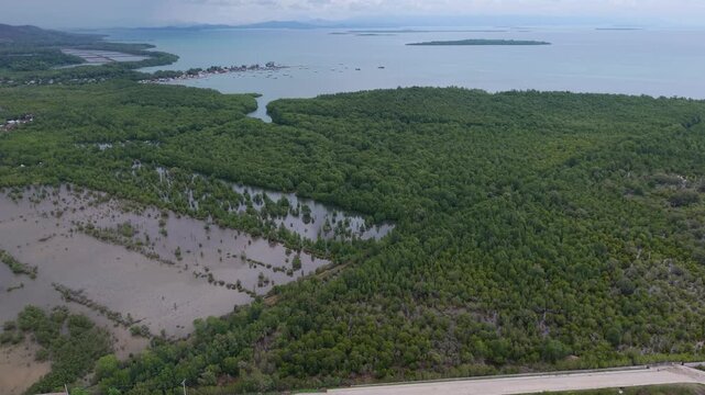 Aerial view of mangrove floodplain and coastal road infrastructure in Puerto Princesa Palawan with inundated lowland replanting area and dense wetland forest