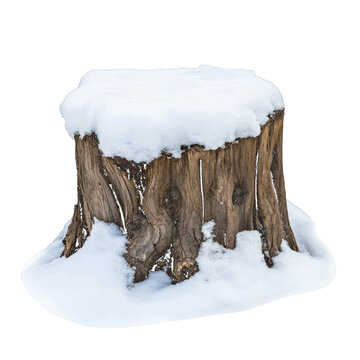 Snow covered tree stump with transparent background winter isolated on a transparent background