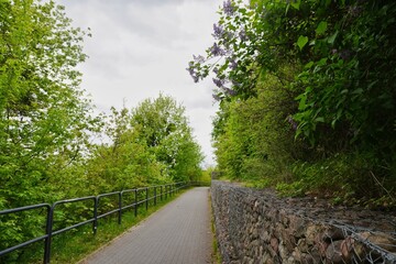 Descriptive park path with gabion wall, railing, and flowering trees under dramatic dramatic clouds © DianJuni