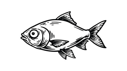 Fototapeta premium Fish vector illustration with detailed fins and scales in black ink