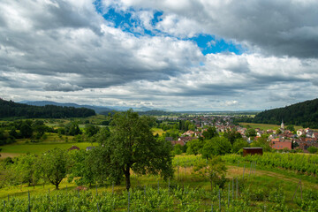 Obraz premium Landschaft bei Sexau im Schwarzwald