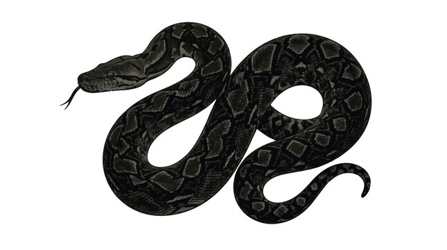 Intricately designed snake with floral patterns on its body
