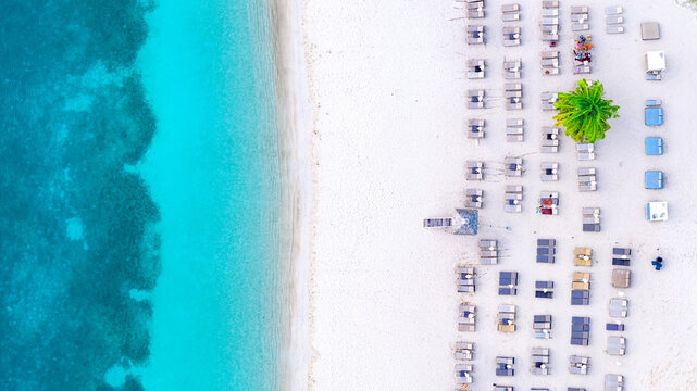 Aerial view of rows of sunbeds on a white sand beach next to turquoise ocean water and a single palm tree in English Harbour, Saint Paul, Antigua and Barbuda.