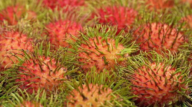 Detailed macro full frame view of ripe red rambutan fruits rotating on a turntable.