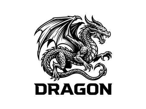 Dragon Mythical Creature Fantasy Animal.