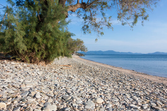 Amazing scenery by the sea in Razi beach, close to Afissos, West Pelion, central Greece