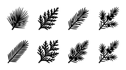 Pine Branch Vector Icons, Evergreen Sprig Graphics, Nature Elements Set © Bappi