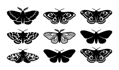 Set of 9 Black Moth Silhouettes, Insect Vector Graphics, Nocturnal Butterfly Icons © Shihab