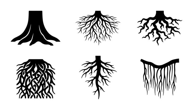 Root System Icons, Tree Base Vector Graphics, Plant Foundation Silhouettes