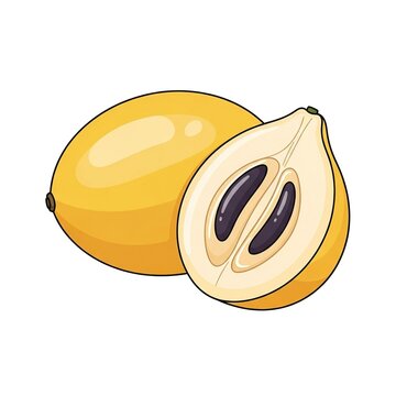 Whole and sliced canistel fruit, also known as eggfruit or yellow sapote, isolated on white background
