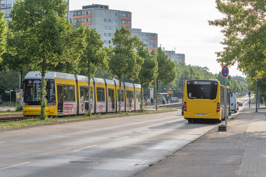 Germany, Berlin, June 1, 2026. A yellow Berlin tram and city bus share a broad road near apartment buildings and leafy trees. Maple and linden greenery frame this urban public transport scene.