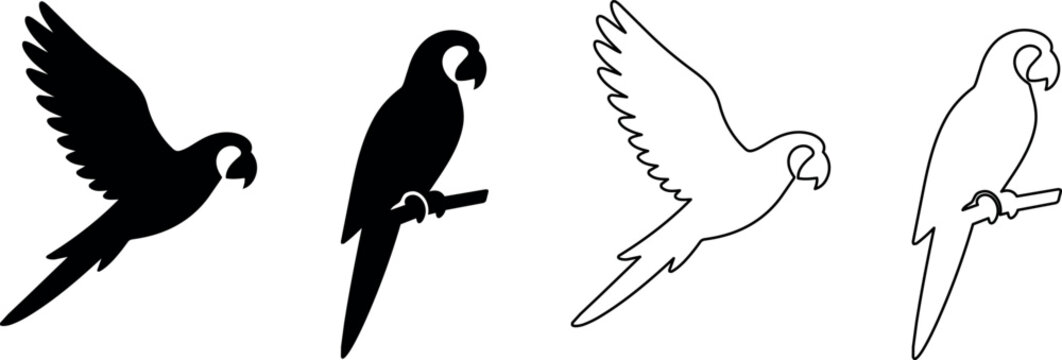 Set of parrot silhouettes and line art for graphic design