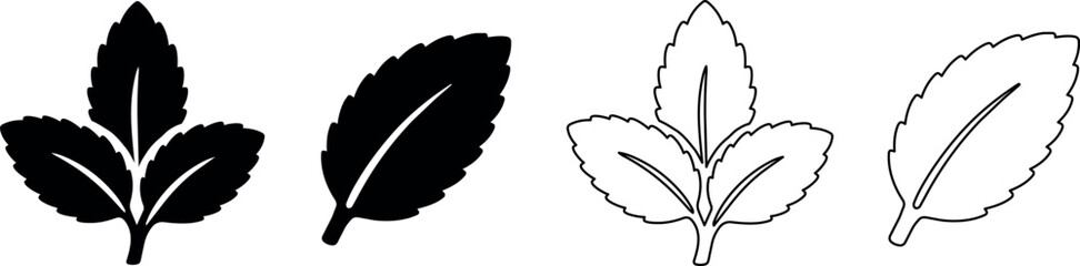 Set of stylized leaf icons in black and white outlines © Santiago