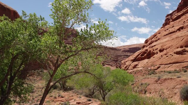 Cottonwoods, clouds, and cliffs on Utah SR 95, the &ldquo;Bicentennial Highway&rdquo; and &ldquo;Trail of the Ancients National Scenic Byway&rdquo;