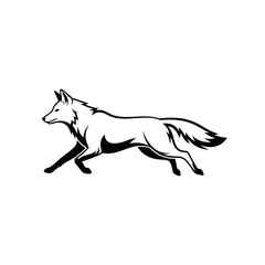 Fototapeta premium Black and white outline drawing of a running fox with detailed fur and tail
