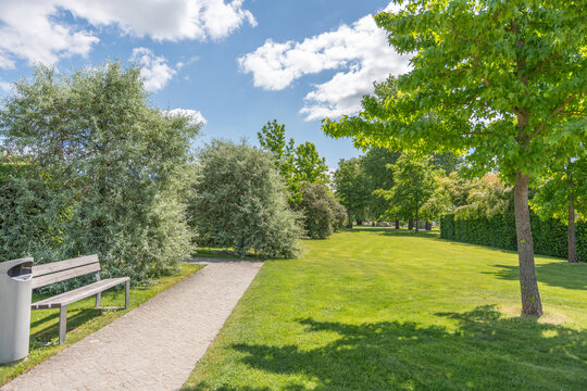A wooden bench sits beside a paved path in a sunny landscaped park. Lawn grass, maple trees, silver shrubs, hedges, and soft cloud light create a quiet scene.