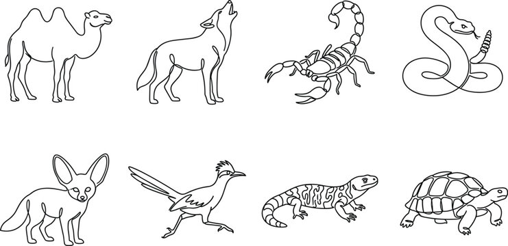 Set of desert animal line featuring a camel, wolf, scorpion, rattlesnake, fennec fox, roadrunner, gila monster, and tortoise on a white background