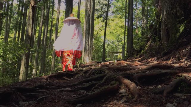 Kumano Kodo Nakahechi &ndash; Woman Walking in Traditional Heian‑Era Court Costume (Tsubo Shōzoku), Hongu, Tanabe City, Wakayama, Japan 熊野古道中辺路「平安衣裳(壺装束)を着た女性が歩く」和歌山県田辺市本宮
