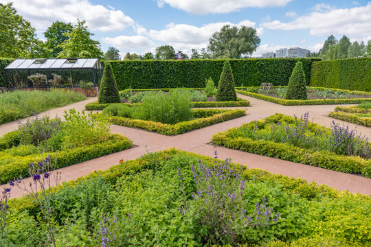 A formal parterre garden shows boxwood hedges, conical topiary, herb beds, lavender, and a greenhouse. Brick paths, vegetable rows, and clipped greenery create an orderly ornamental layout.