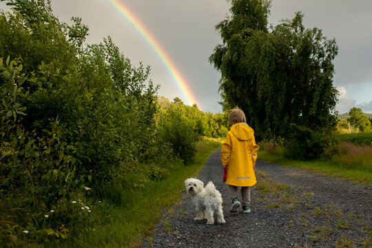 Little child with yellow raincoat and maltese dog, walking on a path, rainbow in front of him