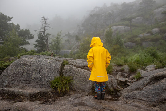 Family, enjoying the hike to Preikestolen, the Pulpit Rock in Lysebotn, Norway on a rainy day, toddler climbing with his pet dog the one of the most scenic fjords