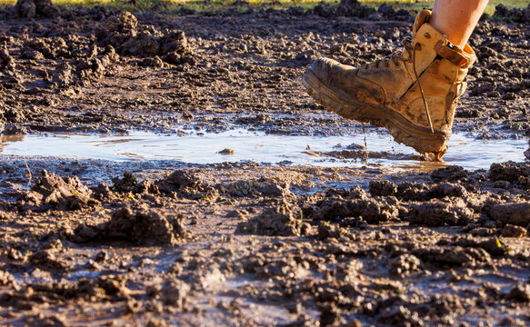 Muddy work boot walking in puddle