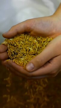 Vertical video: Tilting hands, controlling cereal flow onto brown table, white cloth behind