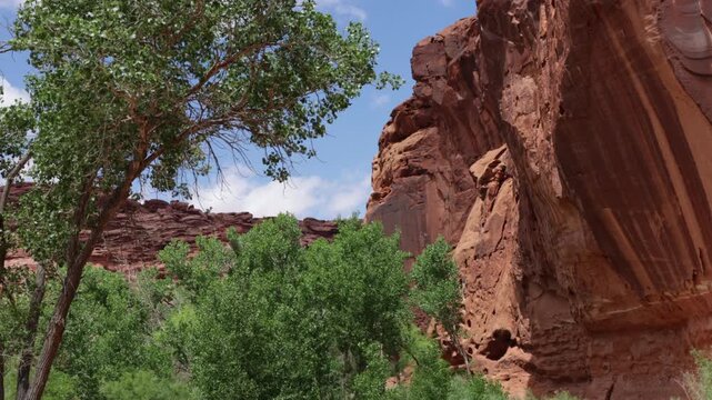 Cottonwoods, clouds, and cliffs on Utah SR 95, the &ldquo;Bicentennial Highway&rdquo; and &ldquo;Trail of the Ancients National Scenic Byway&rdquo;