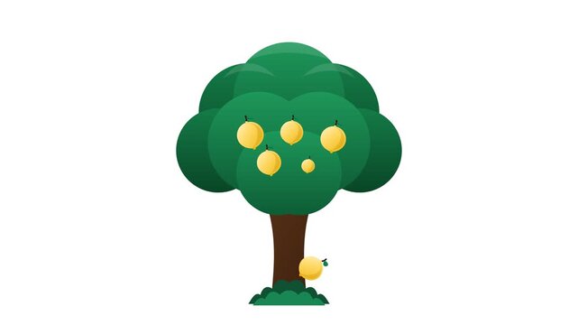 Animated Lemon Tree Seamless Loop with Falling Fruits Vector Motion Graphic Background