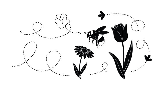 A detailed black silhouette of a fuzzy bumblebee flies between a blooming daisy and a tall tulip following intricate dotted flight paths across the scene.