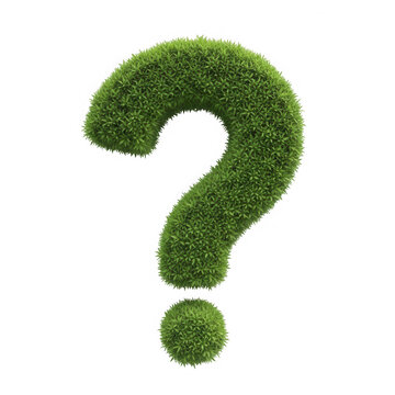 Green question mark symbol in nature style