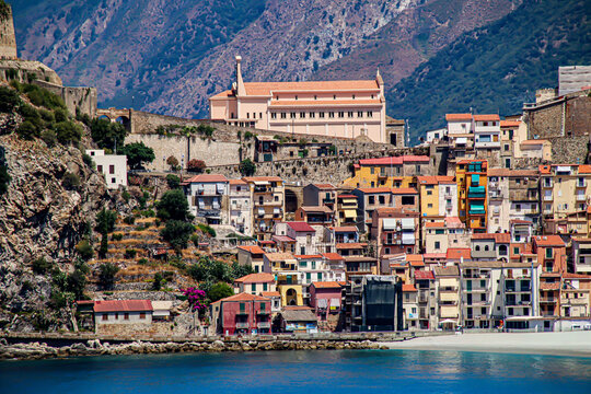 Scilla