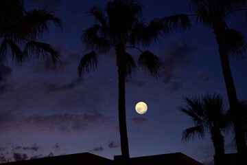Full Moon with urban silhouettes. © astrosystem