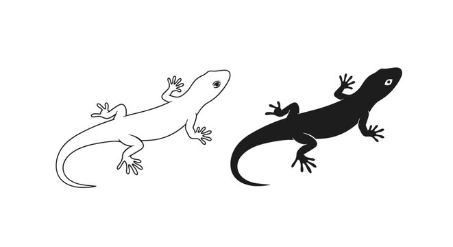 Simple lizard gecko silhouette and outline set perfect for logos or educational materials featuring a top down view.