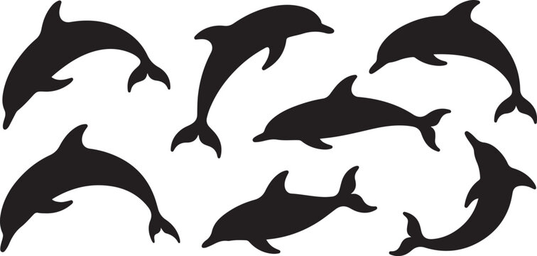dolphin black soild silhouette bundle isolated on white .Silhouette vector illustration