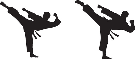 karate martial arts .Silhouette vector illustration © Misho x Mamun