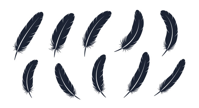 Set of ten black feather silhouettes displays various curved shapes and delicate textures of plumage for use in logos and decorations.