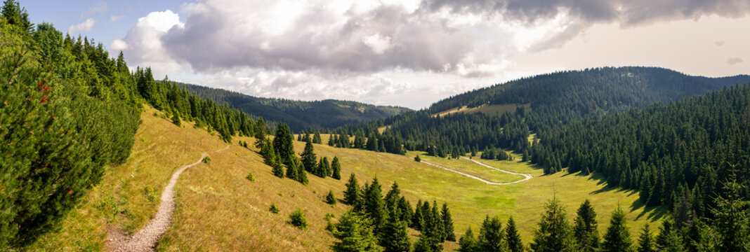 Winding mountain trail through lush meadows and dense forested hills under partly cloudy sky in Velka Fatra region
